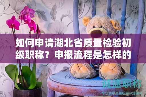 如何申請(qǐng)湖北省質(zhì)量檢驗(yàn)初級(jí)職稱？申報(bào)流程是怎樣的？