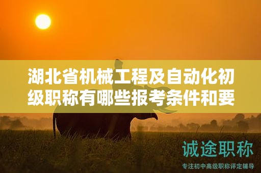 湖北省機(jī)械工程及自動化初級職稱有哪些報(bào)考條件和要求？
