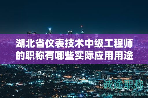湖北省儀表技術(shù)中級(jí)工程師的職稱有哪些實(shí)際應(yīng)用用途？