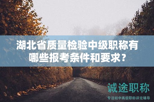 湖北省質(zhì)量檢驗中級職稱有哪些報考條件和要求？