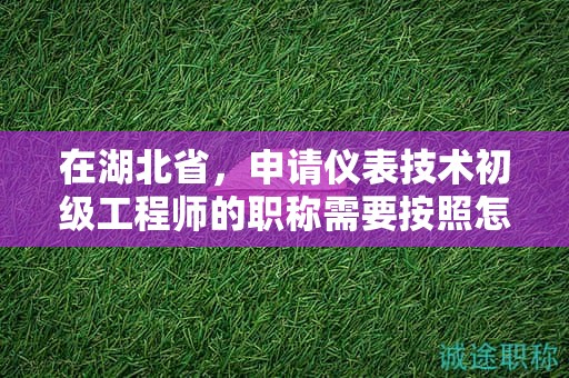 在湖北省，申請儀表技術(shù)初級工程師的職稱需要按照怎樣的申報流程進(jìn)行？