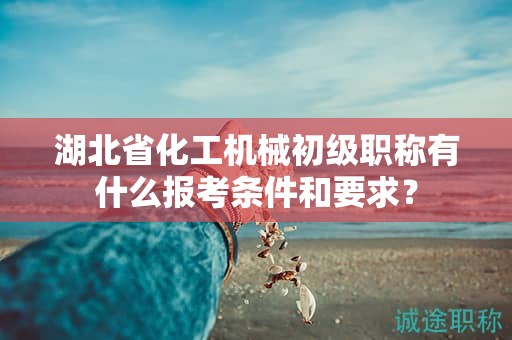 湖北省化工機(jī)械初級(jí)職稱(chēng)有什么報(bào)考條件和要求？