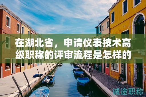 在湖北省，申請(qǐng)儀表技術(shù)高級(jí)職稱的評(píng)審流程是怎樣的？
