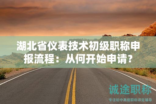 湖北省儀表技術初級職稱申報流程：從何開始申請？