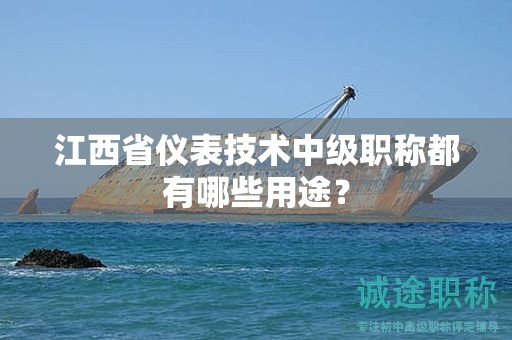 江西省儀表技術(shù)中級(jí)職稱(chēng)都有哪些用途？