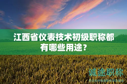 江西省儀表技術(shù)初級(jí)職稱都有哪些用途？