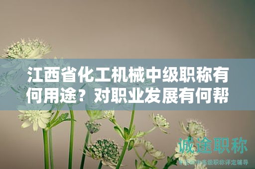 江西省化工機(jī)械中級(jí)職稱有何用途？對(duì)職業(yè)發(fā)展有何幫助？