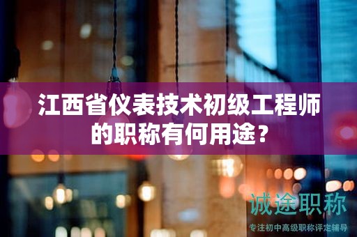 江西省儀表技術(shù)初級工程師的職稱有何用途？
