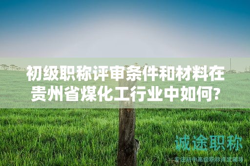 初級職稱評審條件和材料在貴州省煤化工行業(yè)中如何?