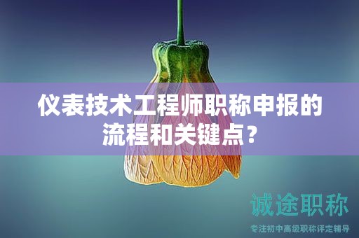 儀表技術(shù)工程師職稱(chēng)申報(bào)的流程和關(guān)鍵點(diǎn)？