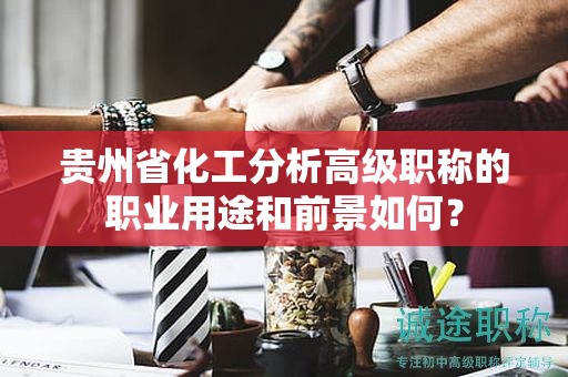 貴州省化工分析高級(jí)職稱(chēng)的職業(yè)用途和前景如何？