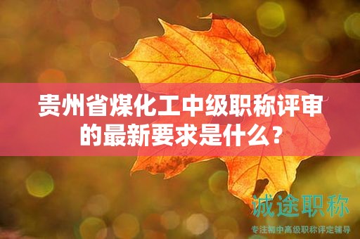 貴州省煤化工中級(jí)職稱評(píng)審的最新要求是什么？