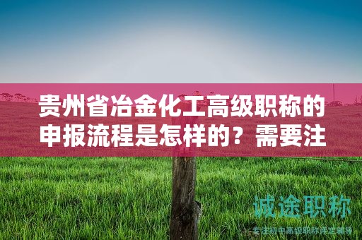 貴州省冶金化工高級職稱的申報(bào)流程是怎樣的？需要注意哪些事項(xiàng)？