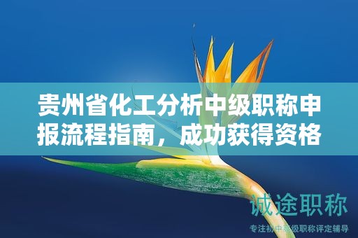 貴州省化工分析中級(jí)職稱申報(bào)流程指南，成功獲得資格