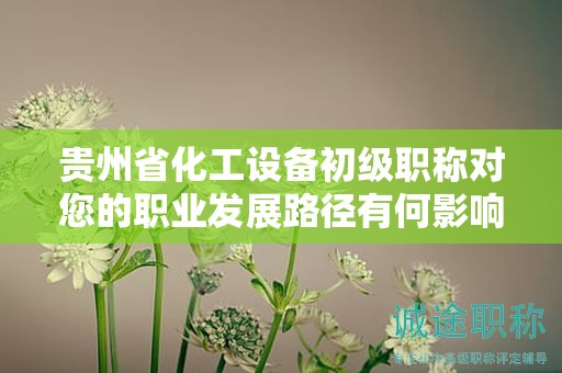 貴州省化工設(shè)備初級職稱對您的職業(yè)發(fā)展路徑有何影響？