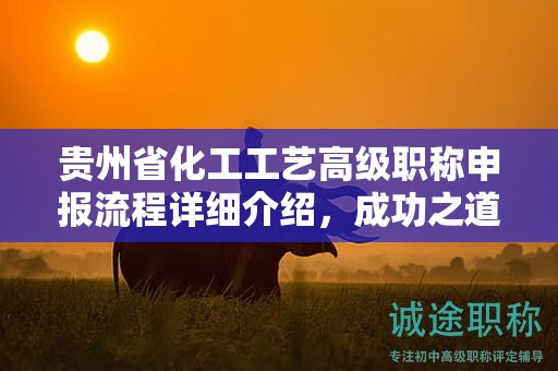 貴州省化工工藝高級(jí)職稱申報(bào)流程詳細(xì)介紹，成功之道