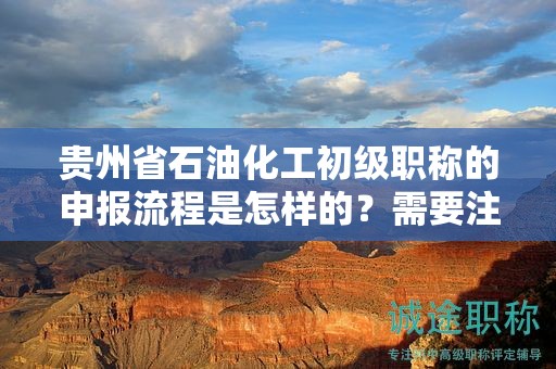 貴州省石油化工初級(jí)職稱(chēng)的申報(bào)流程是怎樣的？需要注意哪些事項(xiàng)？