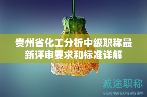 貴州省化工分析中級職稱最新評審要求和標(biāo)準(zhǔn)詳解