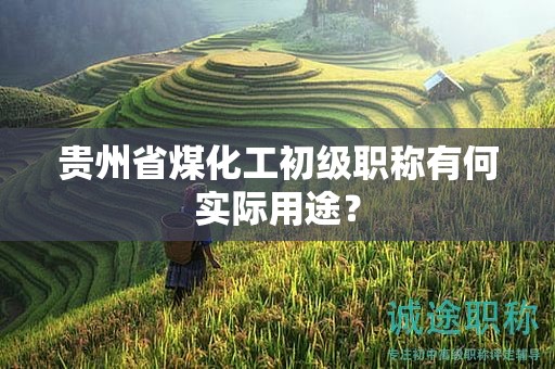 貴州省煤化工初級職稱有何實(shí)際用途？