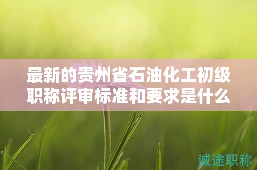 最新的貴州省石油化工初級職稱評審標準和要求是什么？有哪些變化？