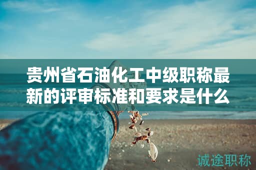 貴州省石油化工中級職稱最新的評審標(biāo)準(zhǔn)和要求是什么？有哪些變化？