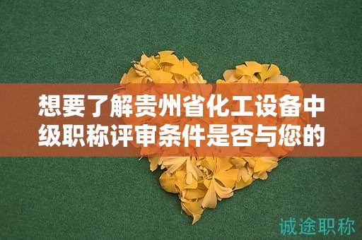 想要了解貴州省化工設(shè)備中級職稱評審條件是否與您的期望一致嗎？