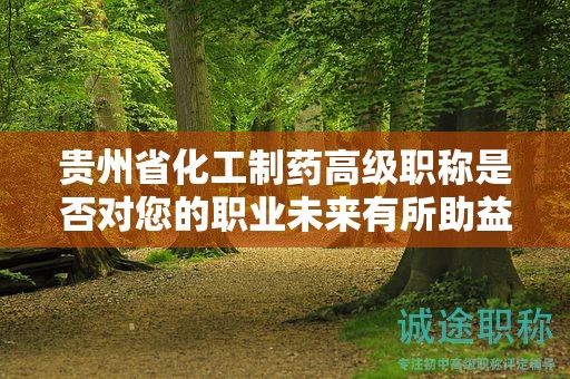 貴州省化工制藥高級職稱是否對您的職業(yè)未來有所助益？