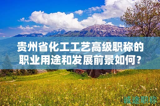 貴州省化工工藝高級職稱的職業(yè)用途和發(fā)展前景如何？