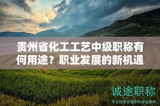 貴州省化工工藝中級職稱有何用途？職業(yè)發(fā)展的新機遇在哪里？
