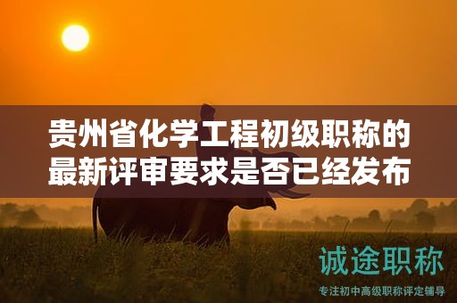 貴州省化學(xué)工程初級職稱的最新評審要求是否已經(jīng)發(fā)布？