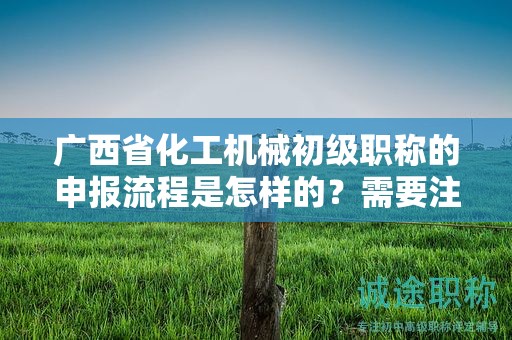 廣西省化工機(jī)械初級職稱的申報(bào)流程是怎樣的？需要注意哪些步驟？