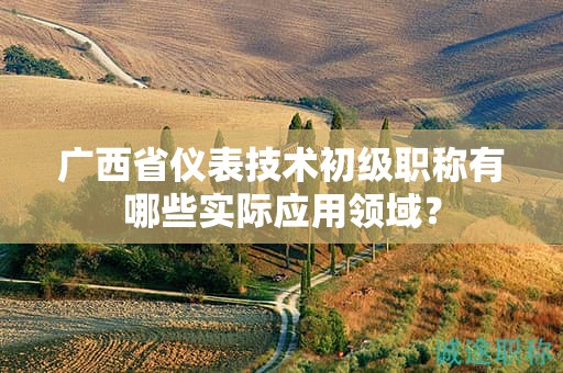廣西省儀表技術(shù)初級職稱有哪些實際應(yīng)用領(lǐng)域？