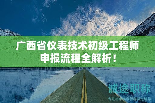 廣西省儀表技術(shù)初級工程師申報流程全解析！