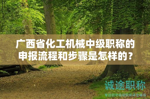 廣西省化工機(jī)械中級(jí)職稱的申報(bào)流程和步驟是怎樣的？需要注意哪些事項(xiàng)？