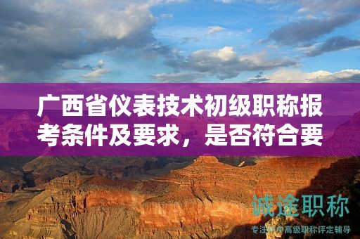 廣西省儀表技術(shù)初級職稱報考條件及要求，是否符合要求？