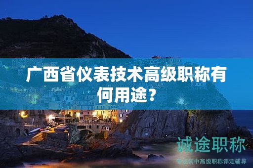 廣西省儀表技術高級職稱有何用途？