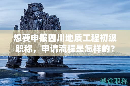 想要申報(bào)四川地質(zhì)工程初級(jí)職稱(chēng)，申請(qǐng)流程是怎樣的？需要哪些步驟？