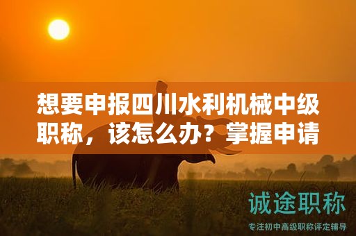 想要申報(bào)四川水利機(jī)械中級(jí)職稱(chēng)，該怎么辦？掌握申請(qǐng)流程和步驟