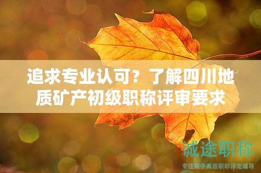 追求專業(yè)認(rèn)可？了解四川地質(zhì)礦產(chǎn)初級職稱評審要求
