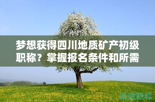 夢想獲得四川地質(zhì)礦產(chǎn)初級職稱？掌握報名條件和所需材料
