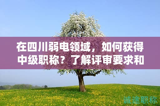 在四川弱電領(lǐng)域，如何獲得中級(jí)職稱？了解評(píng)審要求和技巧