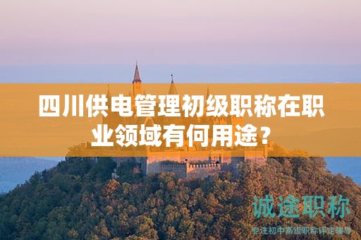 四川供電管理初級職稱在職業(yè)領(lǐng)域有何用途？
