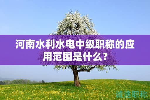 河南水利水電中級職稱的應用范圍是什么？