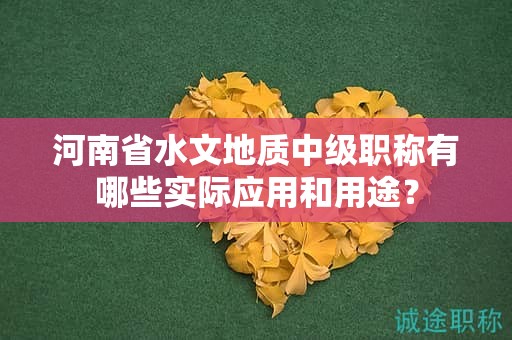 河南省水文地質(zhì)中級(jí)職稱有哪些實(shí)際應(yīng)用和用途？
