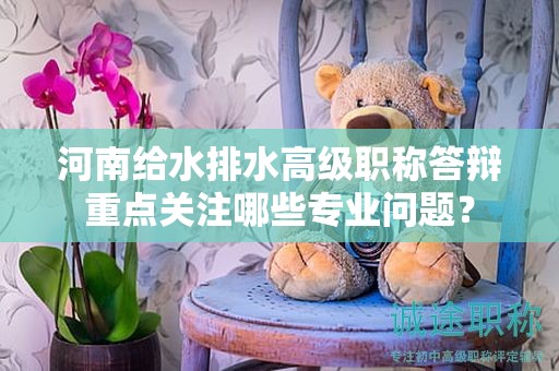 河南給水排水高級職稱答辯重點(diǎn)關(guān)注哪些專業(yè)問題？