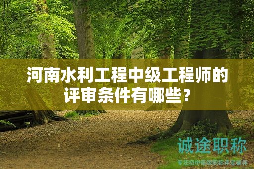 河南水利工程中級(jí)工程師的評(píng)審條件有哪些？