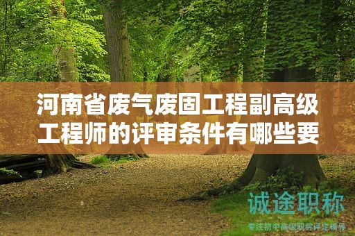 河南省廢氣廢固工程副高級(jí)工程師的評(píng)審條件有哪些要求？
