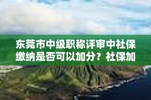 東莞市中級職稱評審中社保繳納是否可以加分？社保加分規(guī)則了解一下？