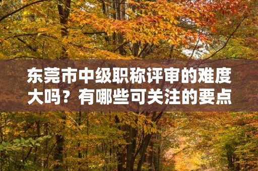 東莞市中級(jí)職稱評(píng)審的難度大嗎？有哪些可關(guān)注的要點(diǎn)和技巧？