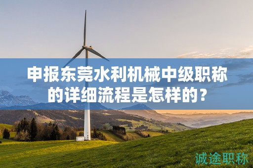 申報東莞水利機(jī)械中級職稱的詳細(xì)流程是怎樣的？